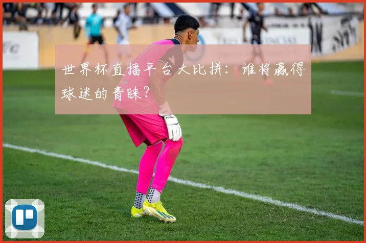 世界杯直播平台大比拼：谁将赢得球迷的青睐？