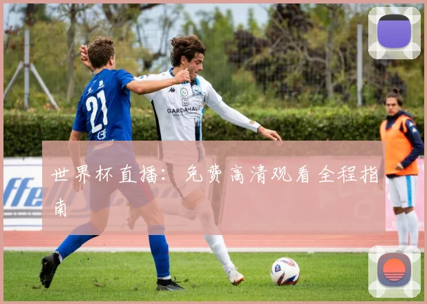 世界杯直播：免费高清观看全程指南