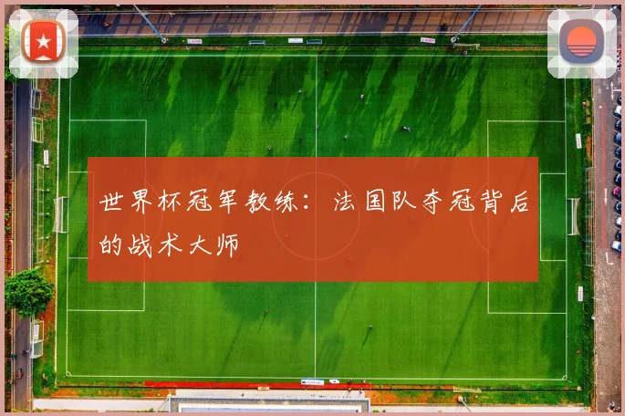 世界杯冠军教练：法国队夺冠背后的战术大师