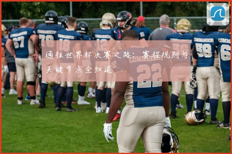 通往世界杯决赛之路：赛程规则与关键节点全知道