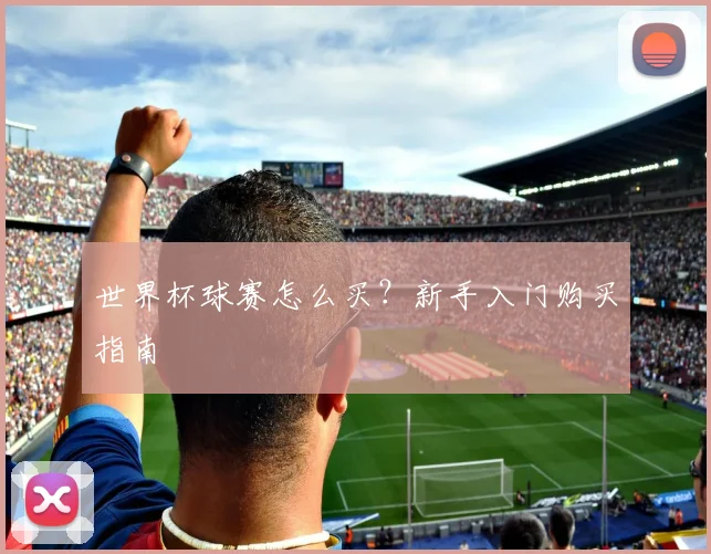 世界杯球赛怎么买？新手入门购买指南